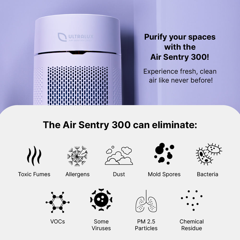 Air Sentry 300