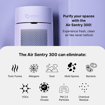 Air Sentry 300